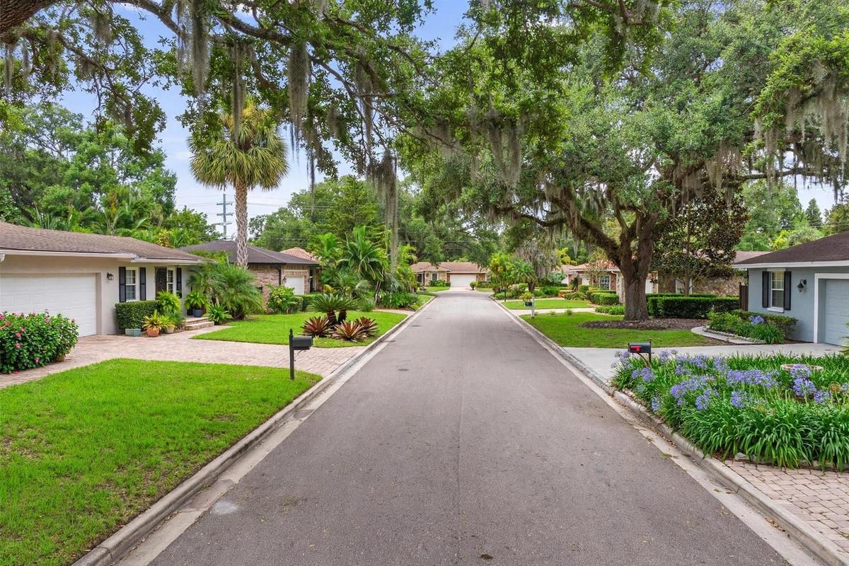 A photorealistic view of an upscale residential street in Palma Ceia, Sunset Park, Tampa, Florida, lined with ranch homes and mature landscaping on a clear day.